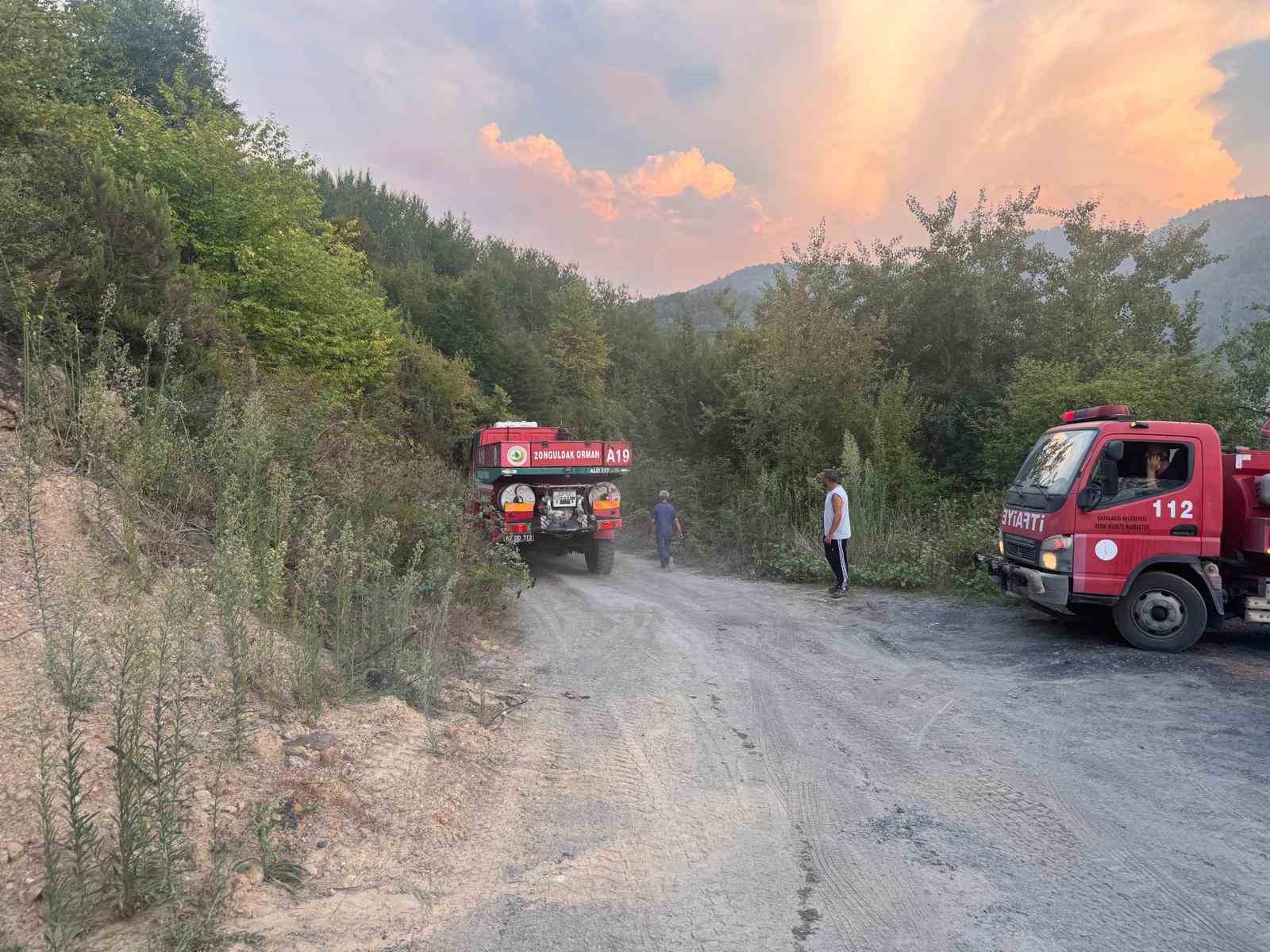 Ormanlık alanda çıkan yangın paniğe neden oldu
