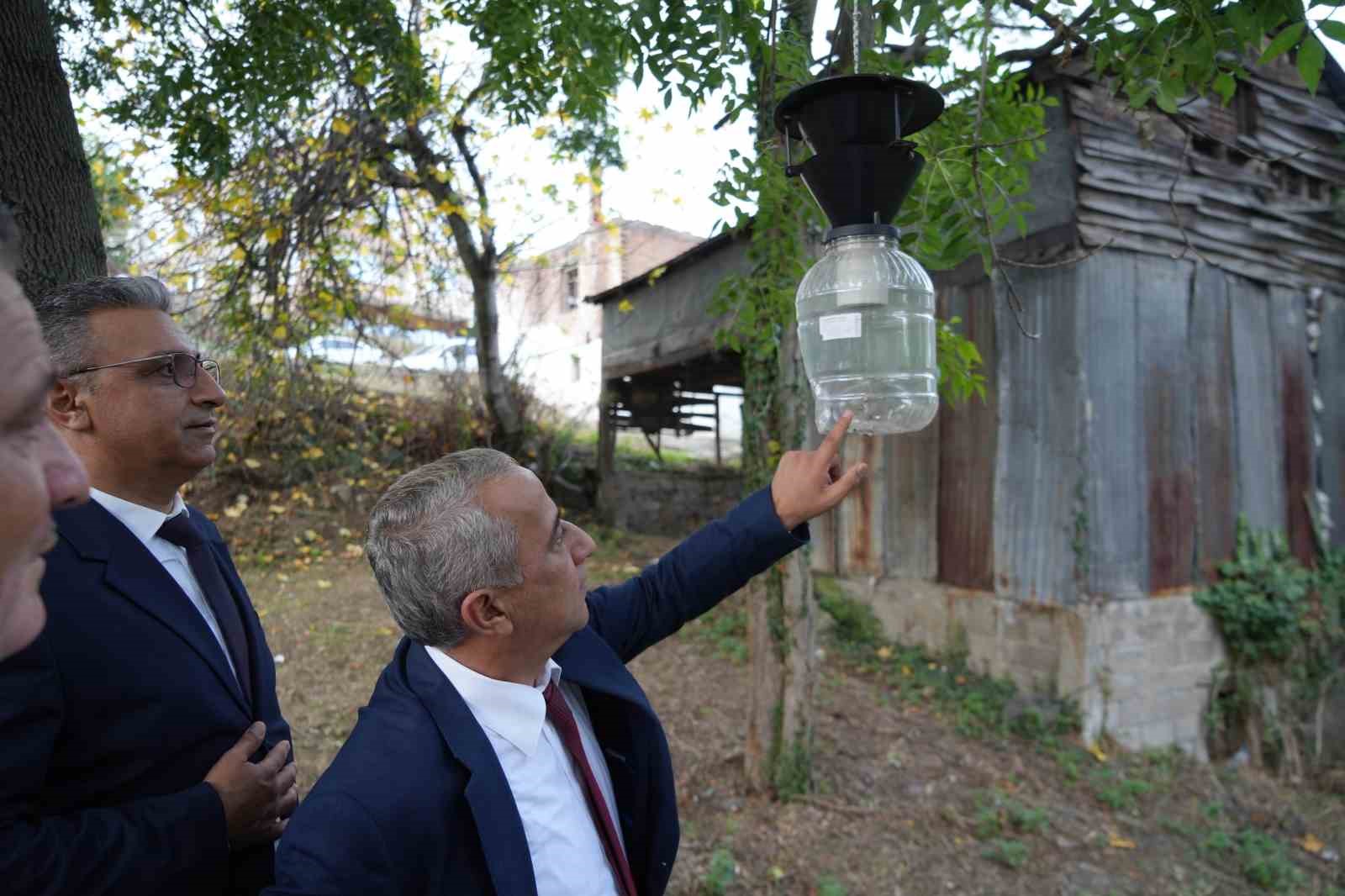 Çiftçinin baş belası kahverengi kokarca, nemi seviyor
