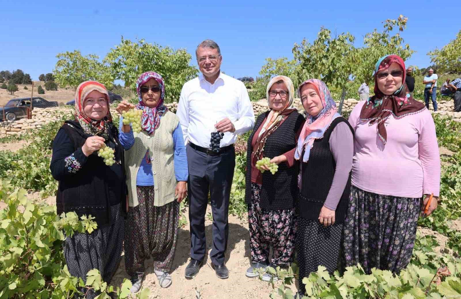 Silifke’de sofralık üzüm hasadı başladı
