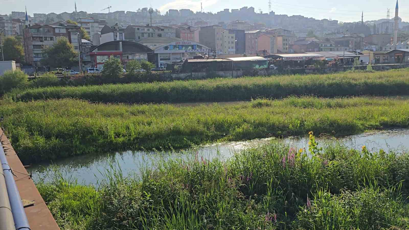 Alaplı çayı, çayıra döndü
