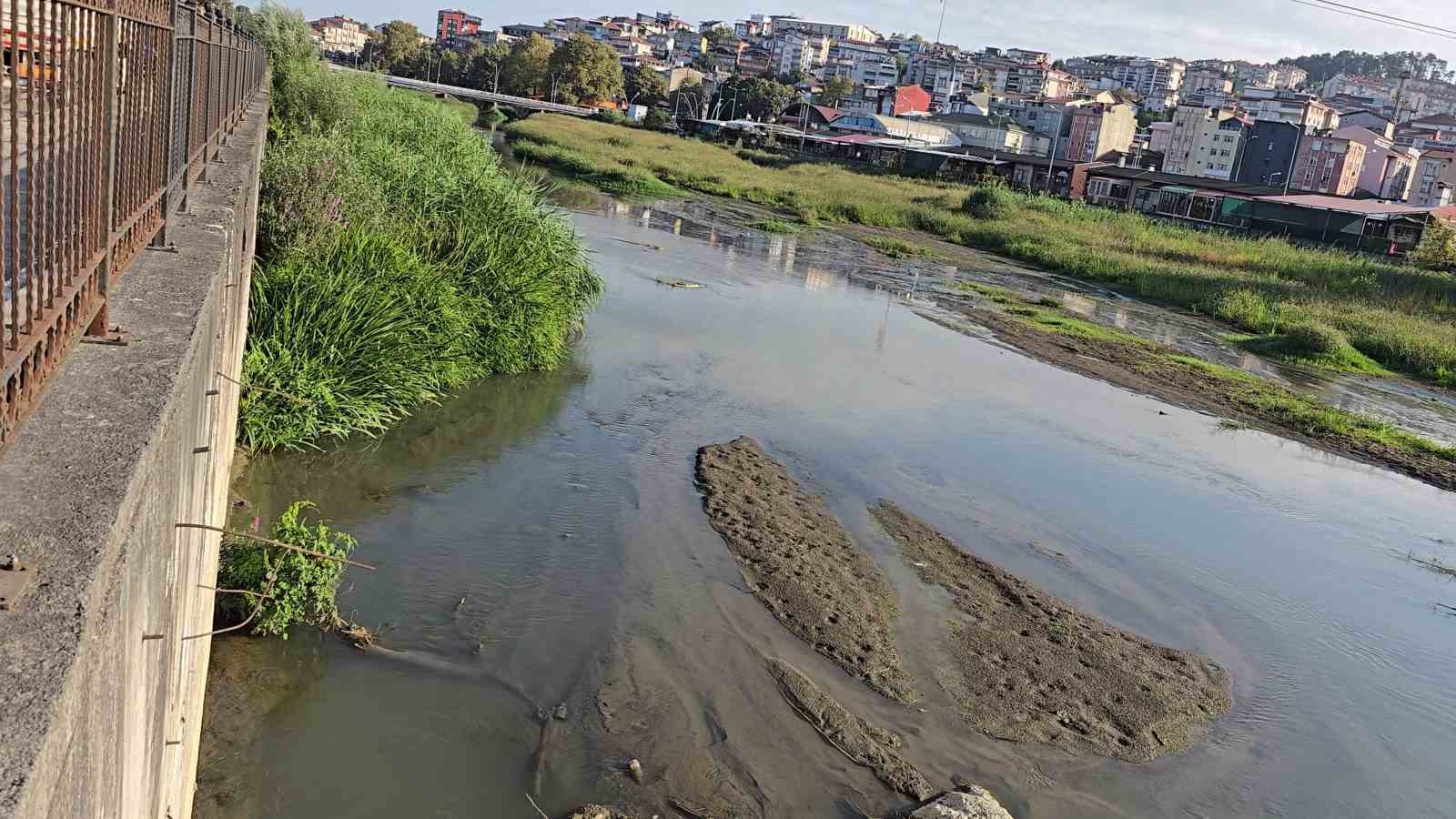 Alaplı çayı, çayıra döndü
