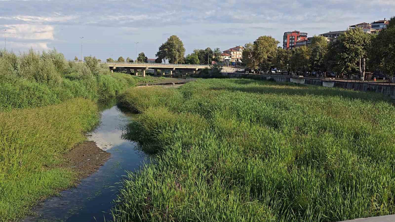 Alaplı çayı, çayıra döndü
