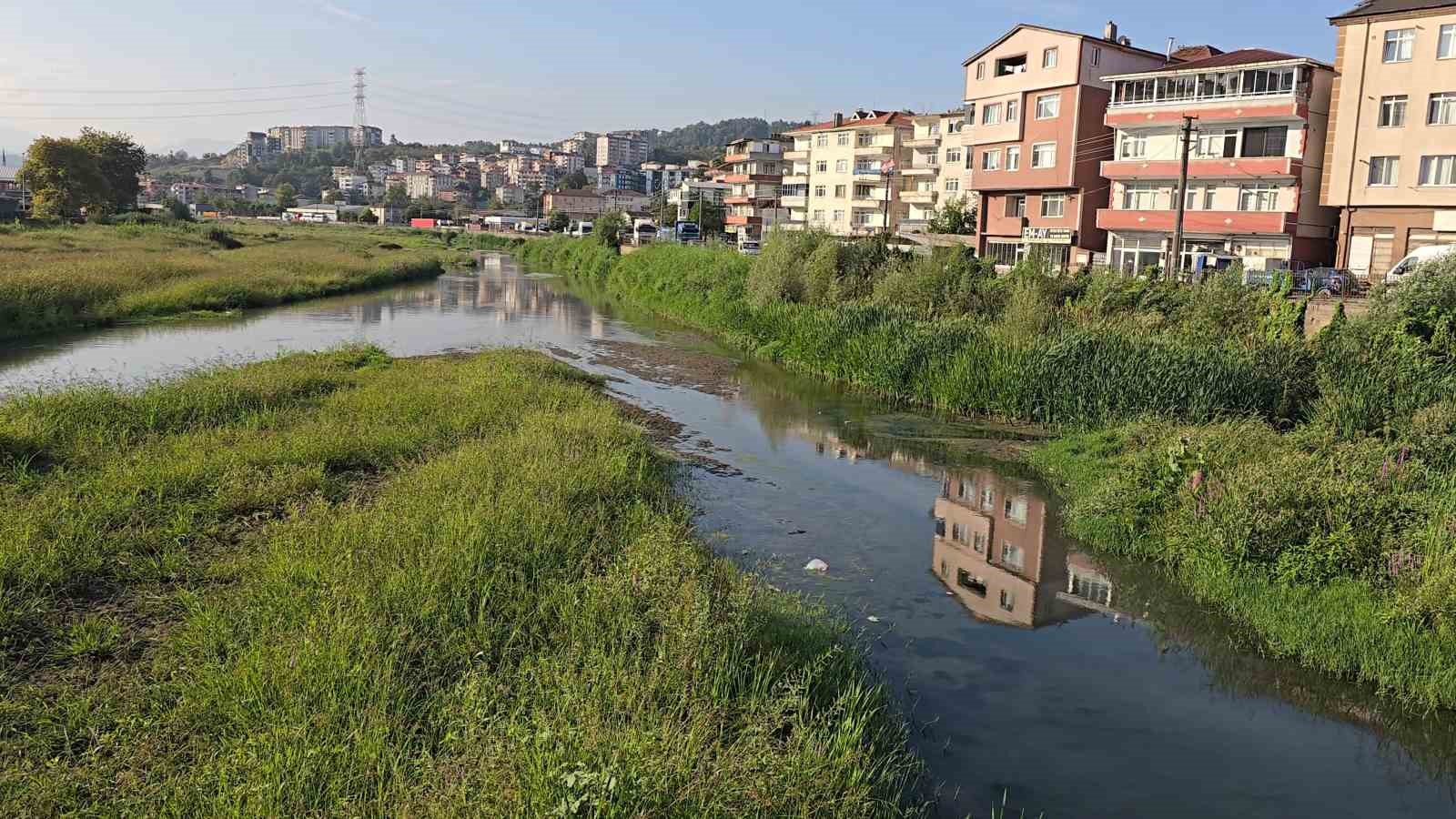 Alaplı çayı, çayıra döndü
