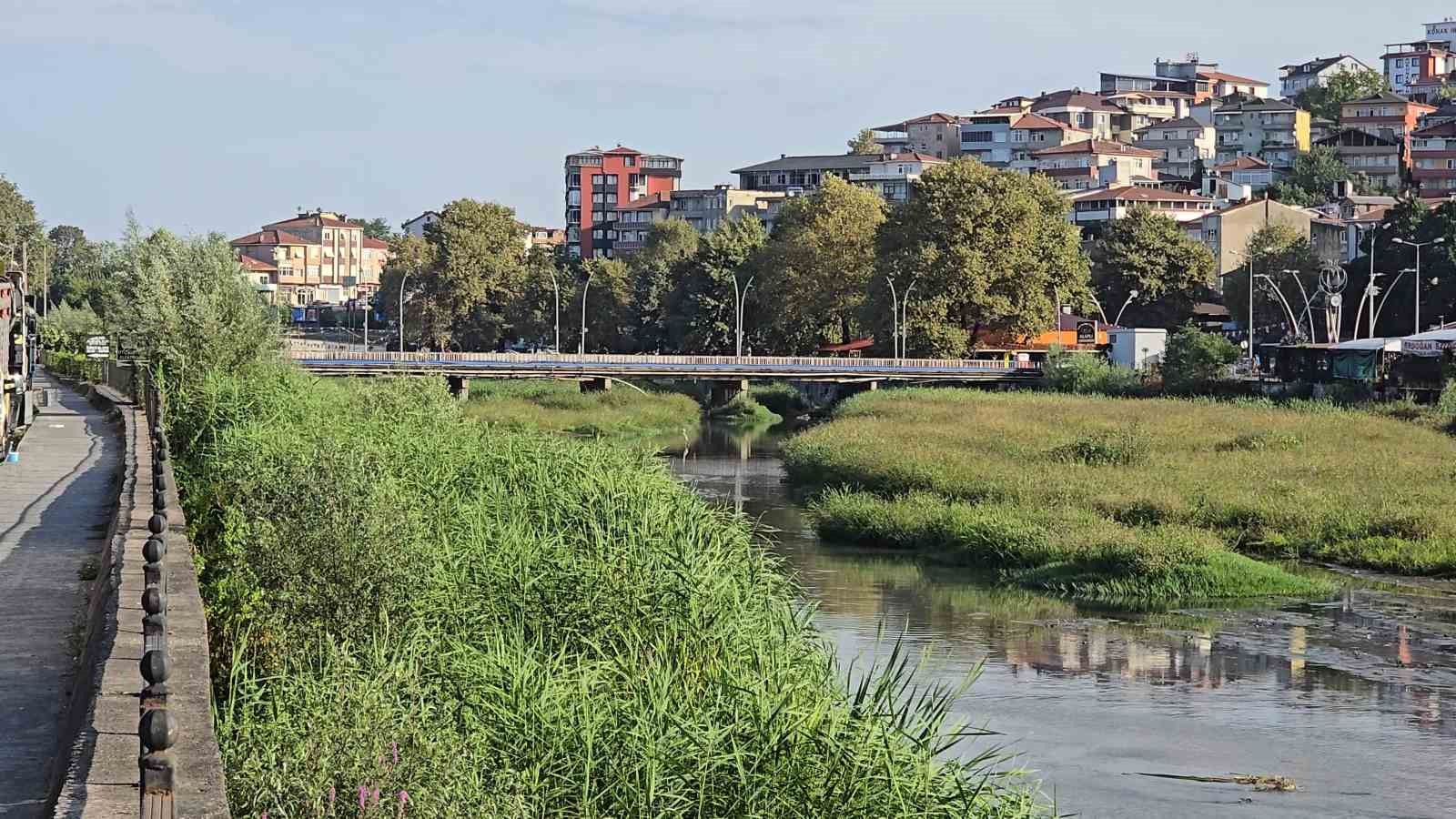 Alaplı çayı, çayıra döndü
