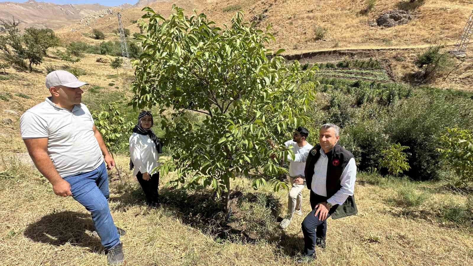 Hem öğretmen hem çiftçi
