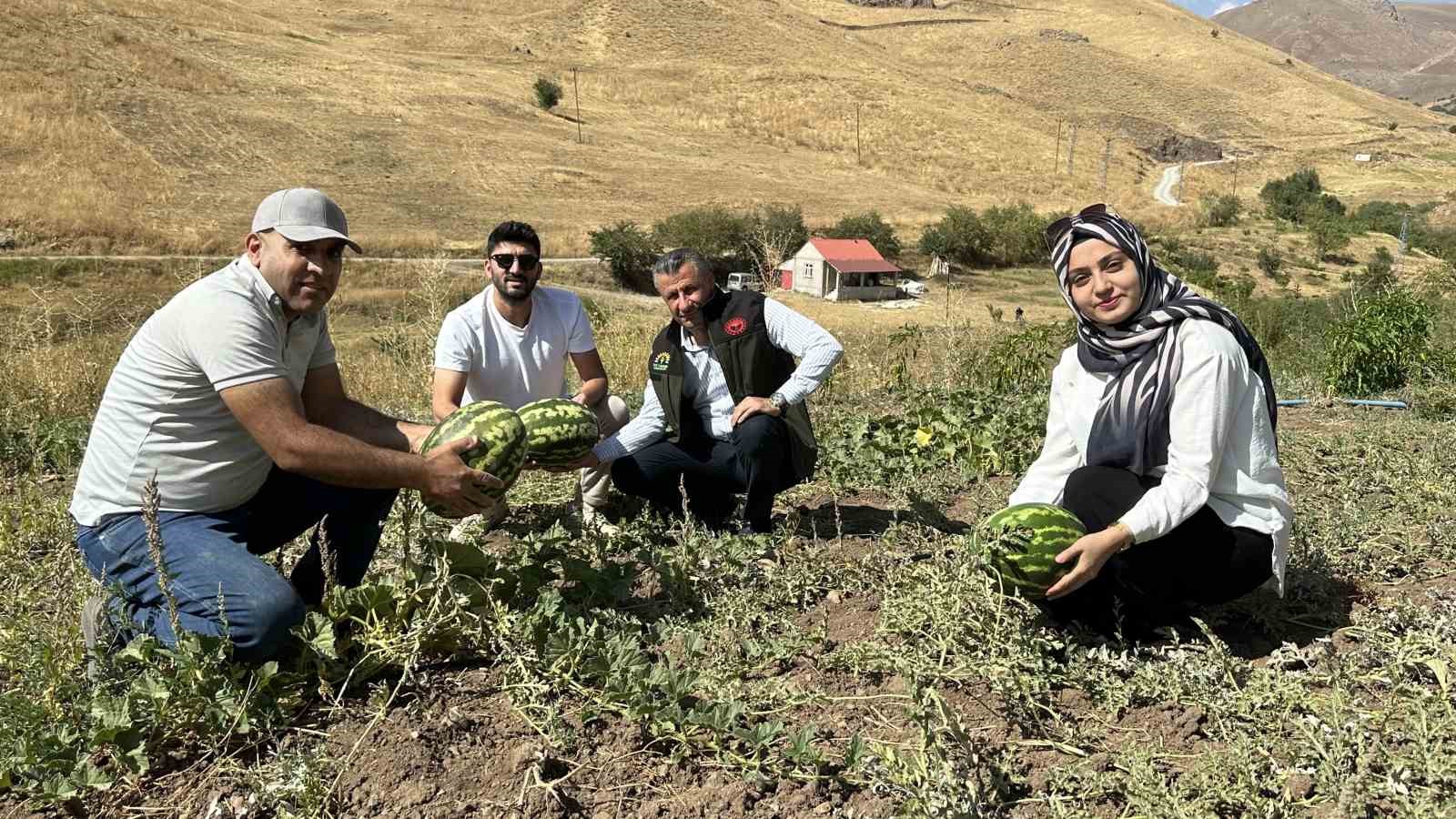 Hem öğretmen hem çiftçi
