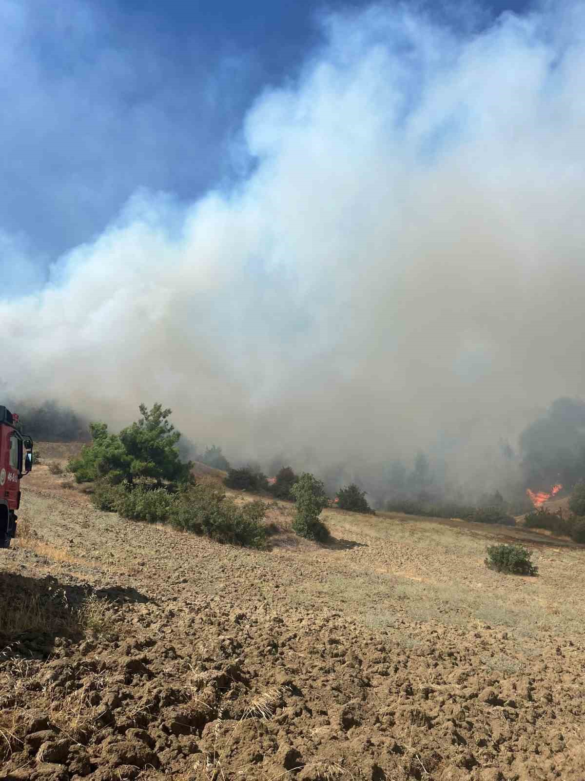 Kahramanmaraş’ta orman yangını
