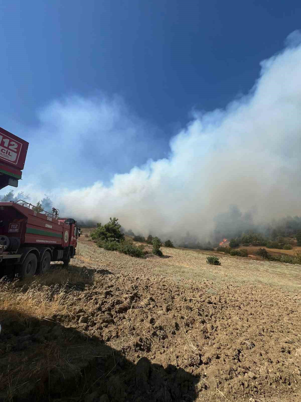 Kahramanmaraş’ta orman yangını
