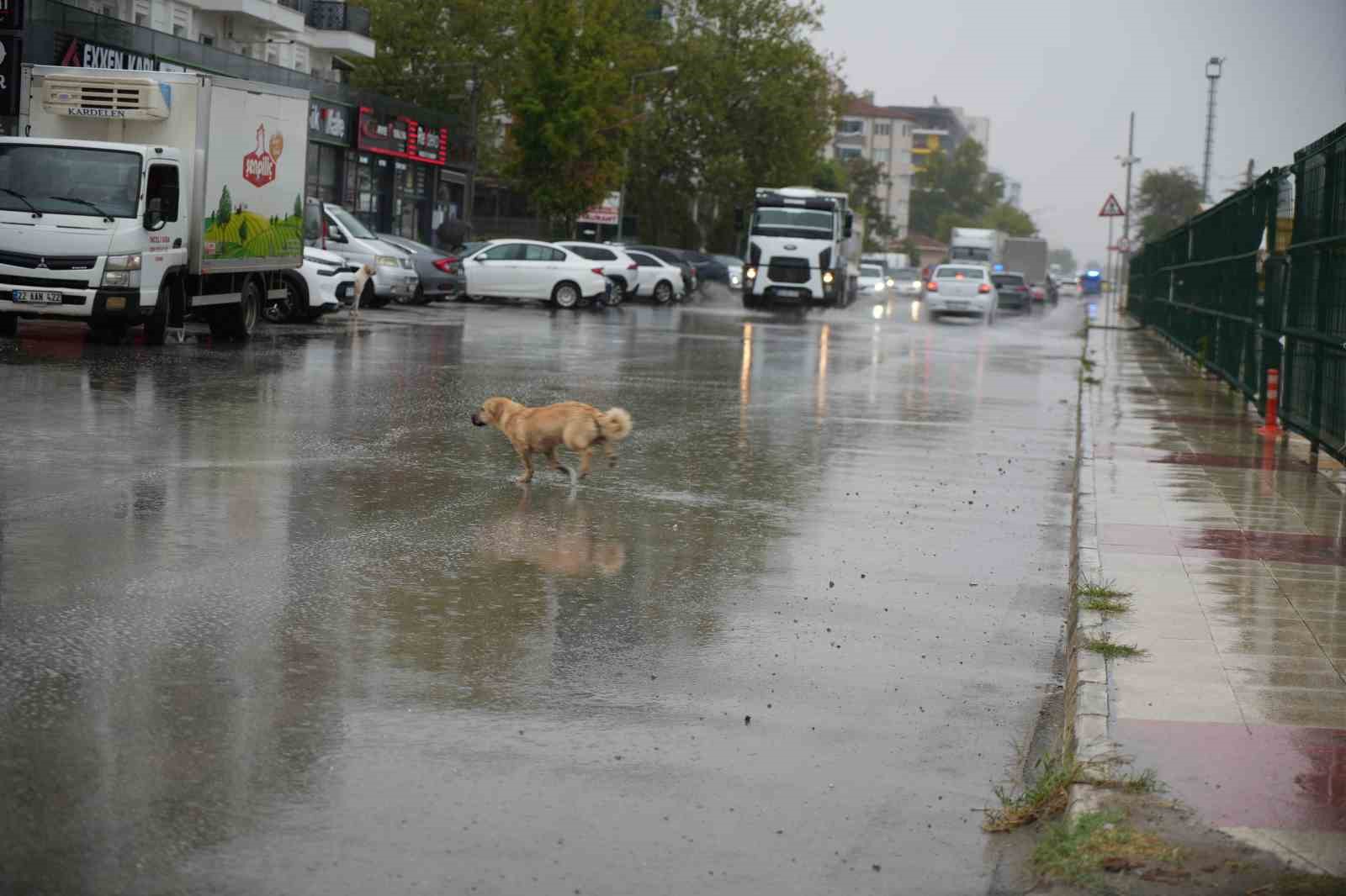 Edirne’de sağanak yağış
