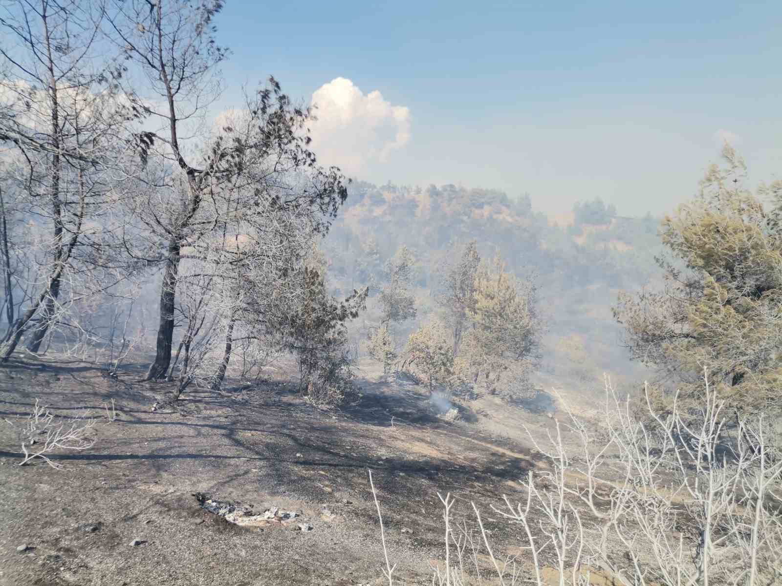 Kahramanmaraş’taki orman yangını büyük ölçüde kontrol altına alındı
