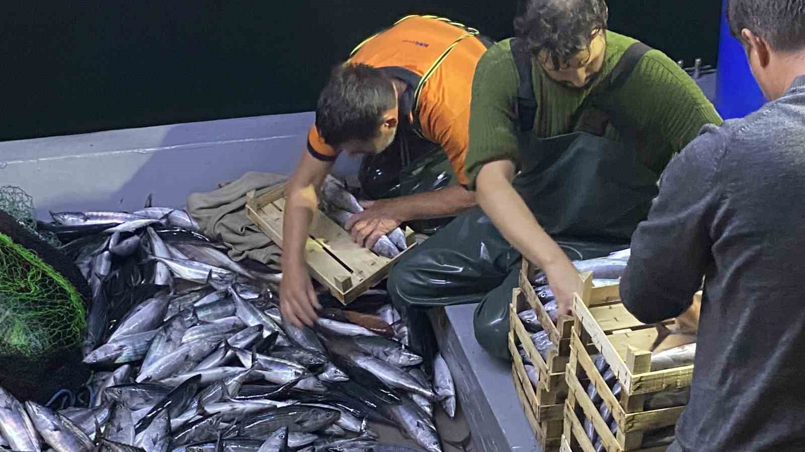 Av yasağı sona erdi, İstanbul’da sezonun ilk balıkları avlandı
