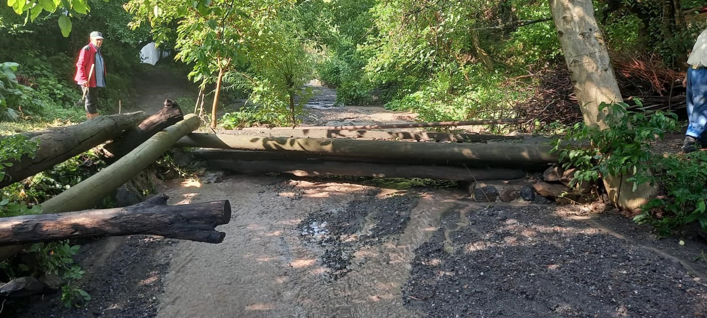 Artvin’de şiddetli yağış sel ve su taşkınlarına neden oldu
