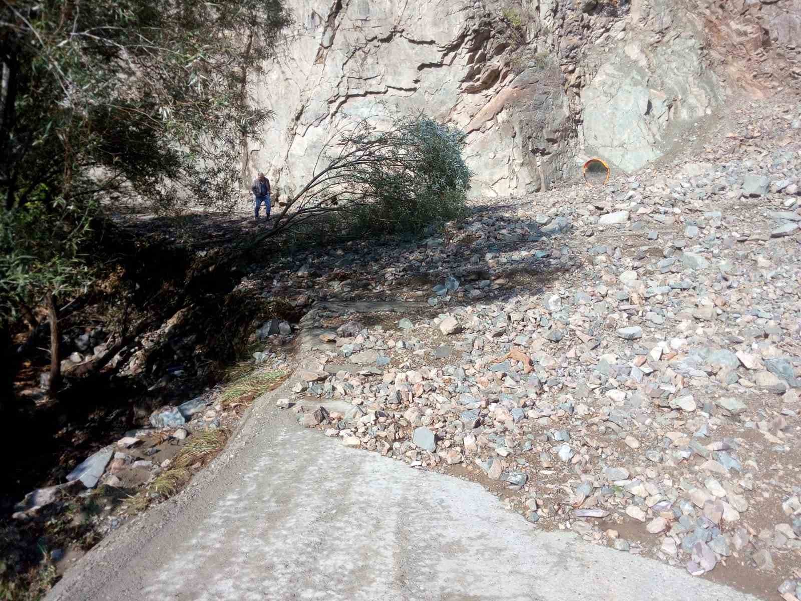 Artvin’de şiddetli yağış sel ve su taşkınlarına neden oldu
