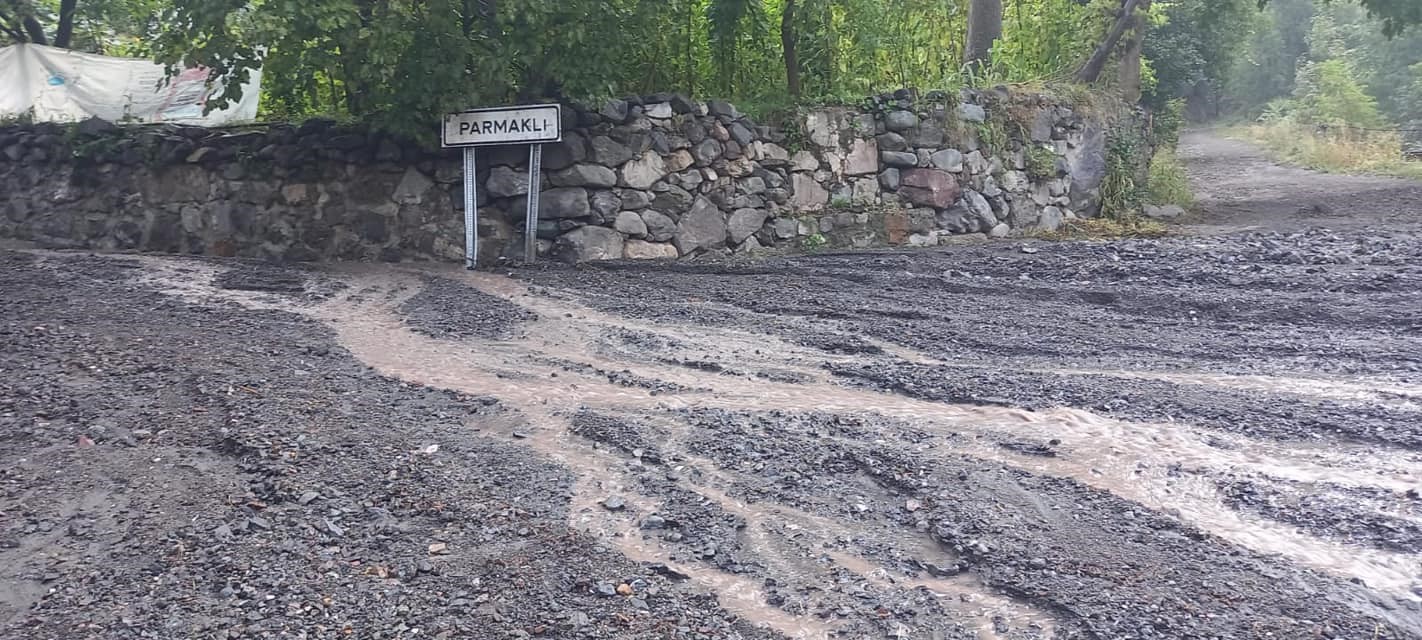 Artvin’de şiddetli yağış sel ve su taşkınlarına neden oldu
