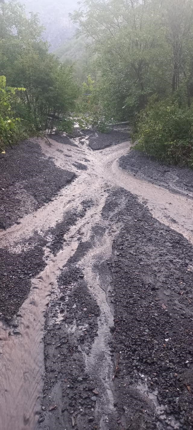 Artvin’de şiddetli yağış sel ve su taşkınlarına neden oldu
