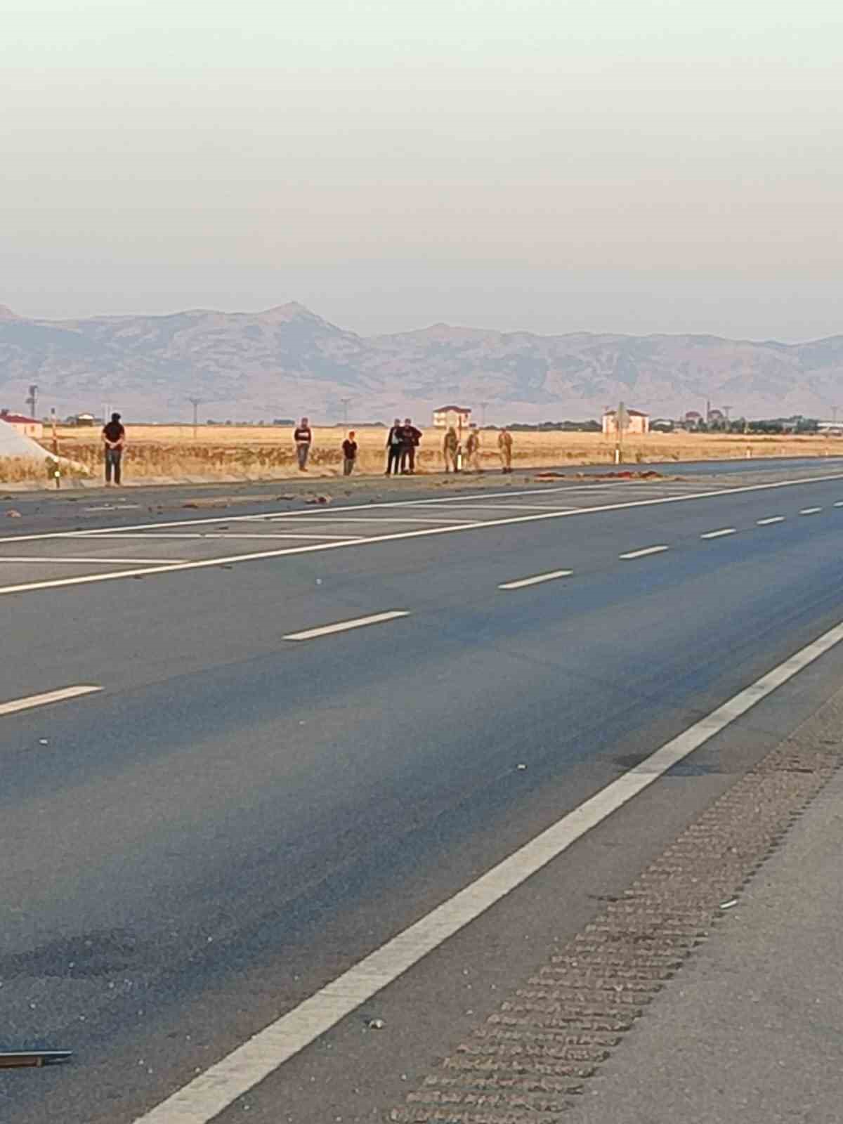 Sürüye çarpan otomobile arkadan gelen kamyon çarptı: 1 ölü, 2 yaralı
