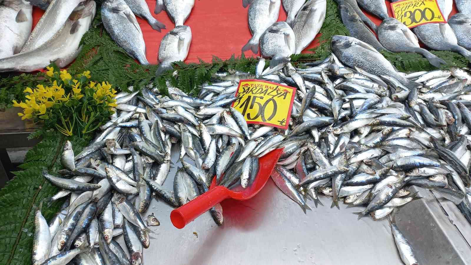 Balık sezonu açıldı, balıklar tezgahlardaki yerini aldı
