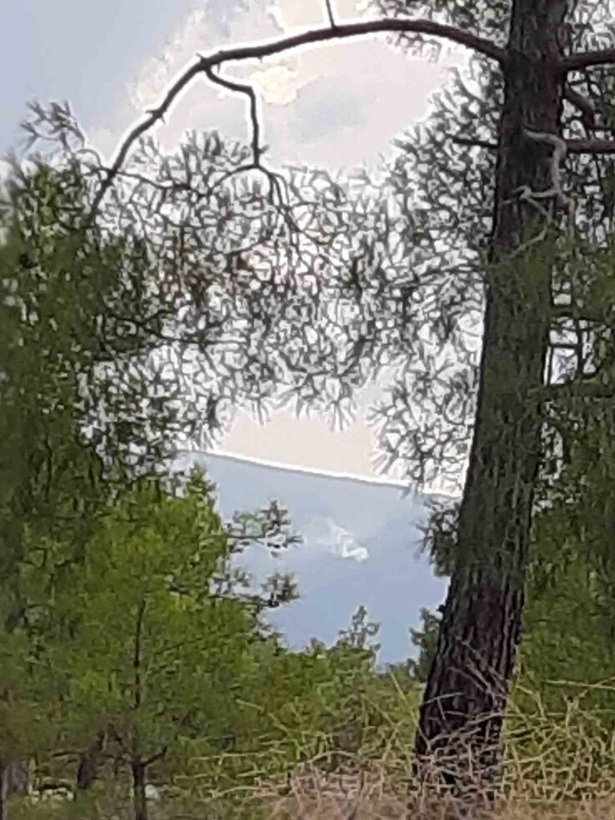 Muğla’da yıldırım kaynaklı orman yangınları meydana geldi
