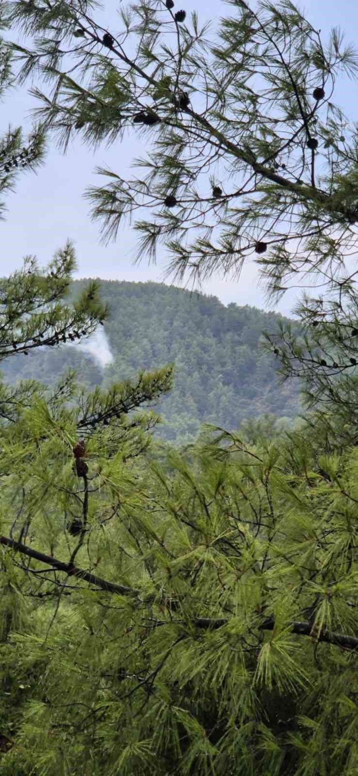 Muğla’da yıldırım kaynaklı orman yangınları meydana geldi
