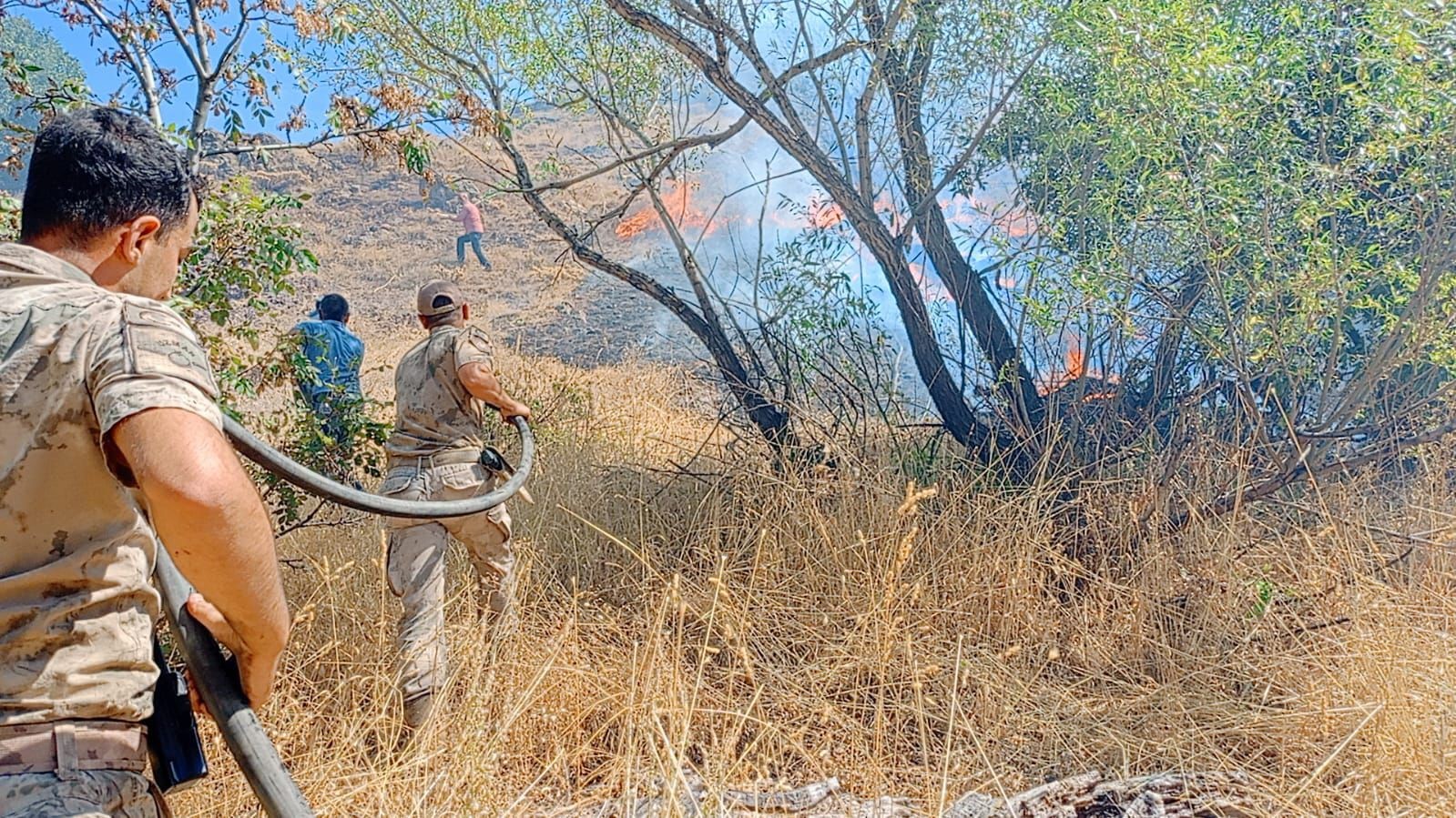 Tunceli’deki yangında 11 hektarlık alan zarar gördü
