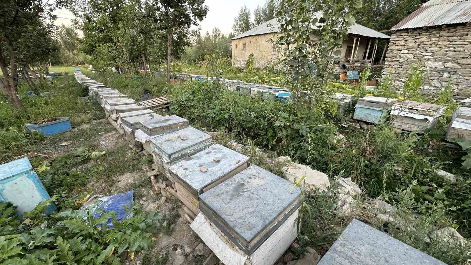 Çiftçi baba alın teriyle 4’ü doktor, 3’ü öğretmen, 2’si mimar, 1’i mühendis 10 çocuk yetiştirdi
