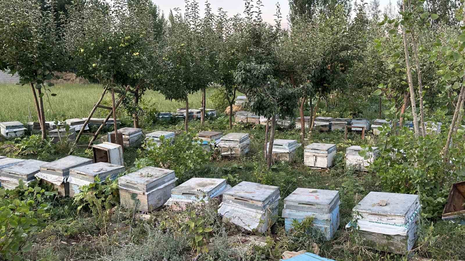 Çiftçi baba alın teriyle 4’ü doktor, 3’ü öğretmen, 2’si mimar, 1’i mühendis 10 çocuk yetiştirdi
