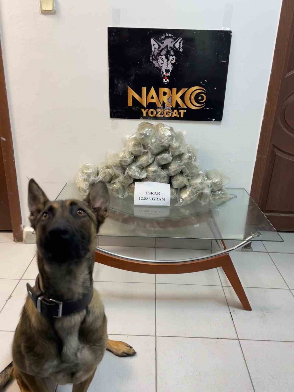 Yakıt deposuna gizlenen uyuşturucuyu narkotik köpeği buldu
