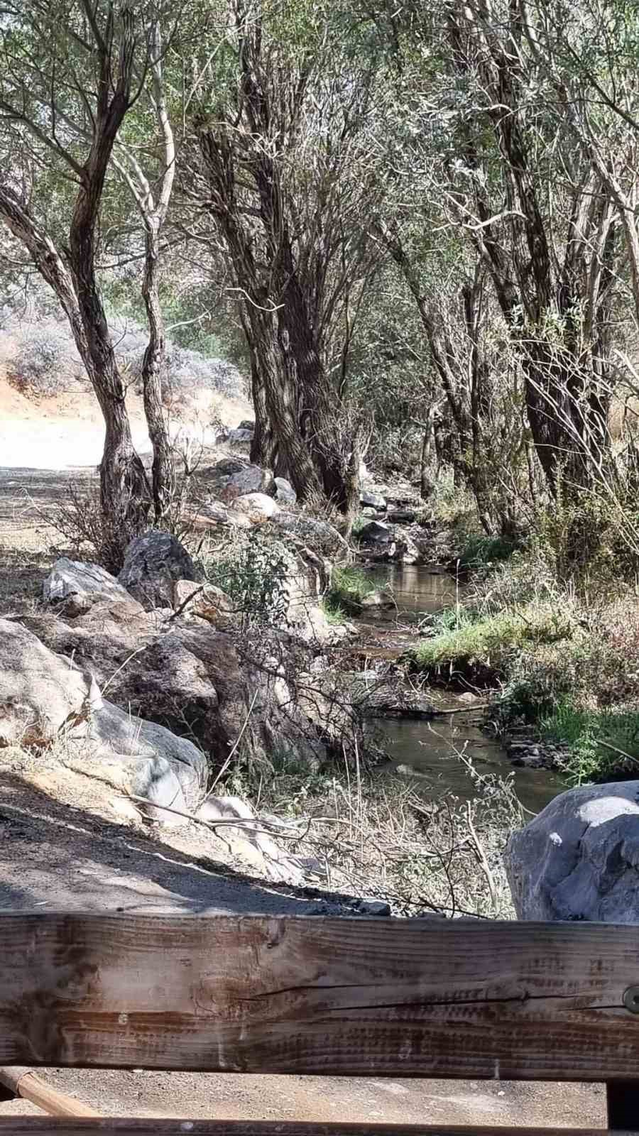 Develi’de doğaseverler mesire alanlarını pırıl pırıl yaptı
