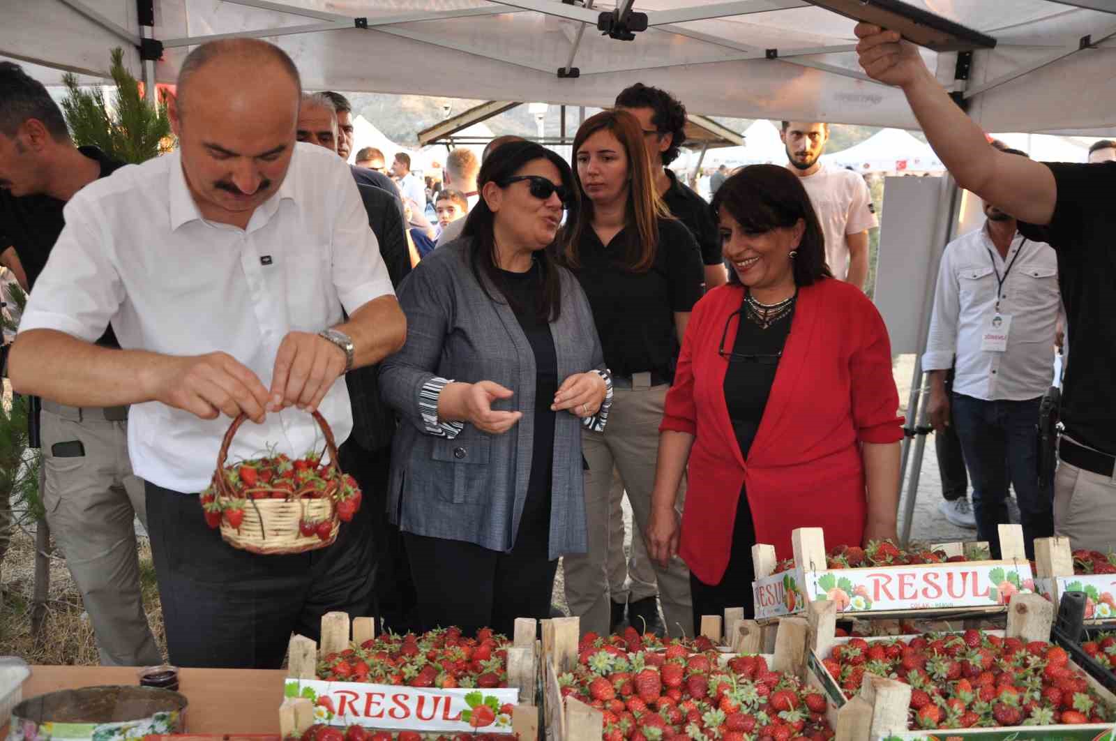 Mereto Dağı eteklerindeki Bal, Ceviz, Çilek ve Yayla Festivali yoğun ilgi gördü
