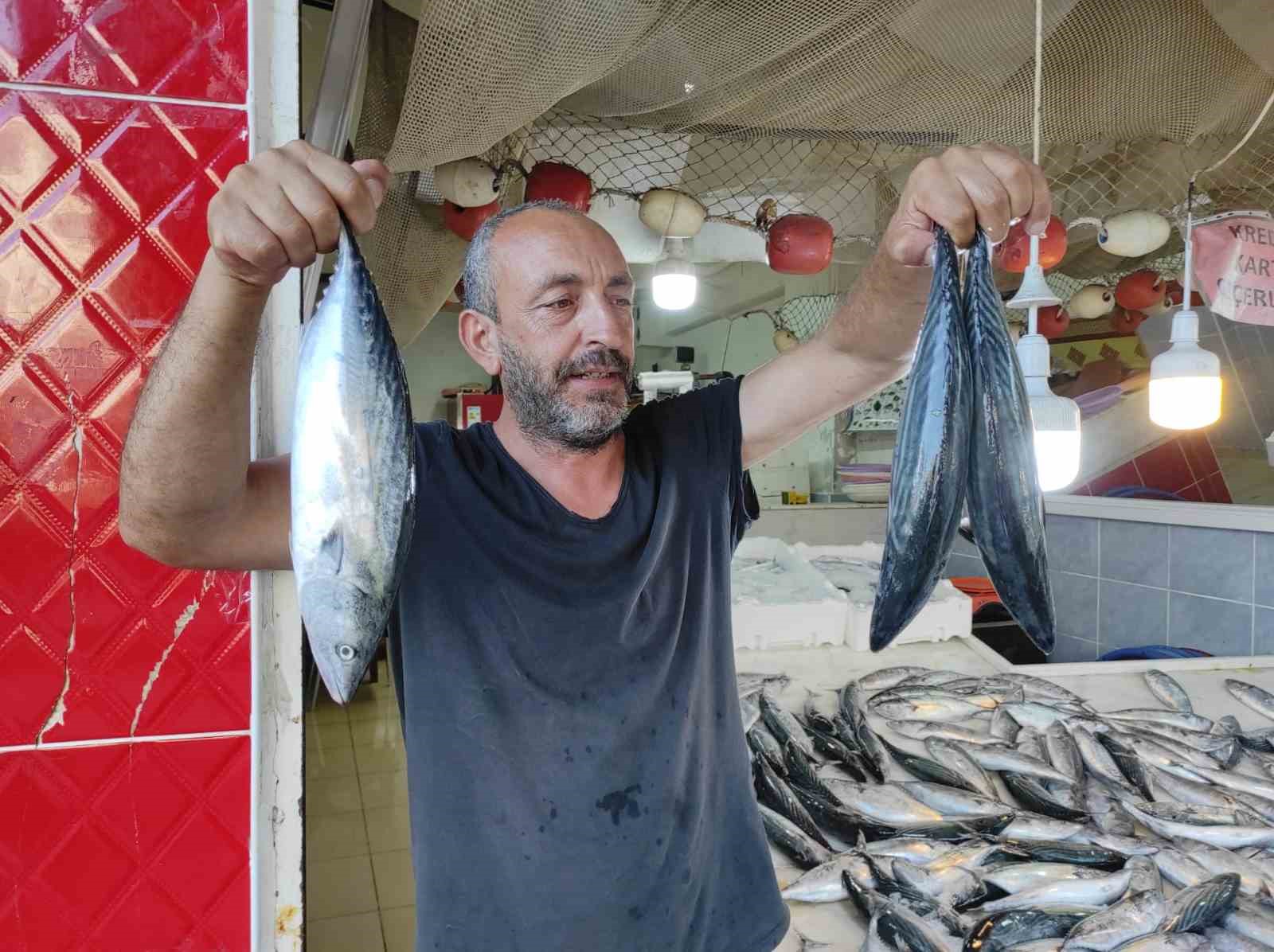 Av yasağı bitti, tezgahlar palamutla doldu
