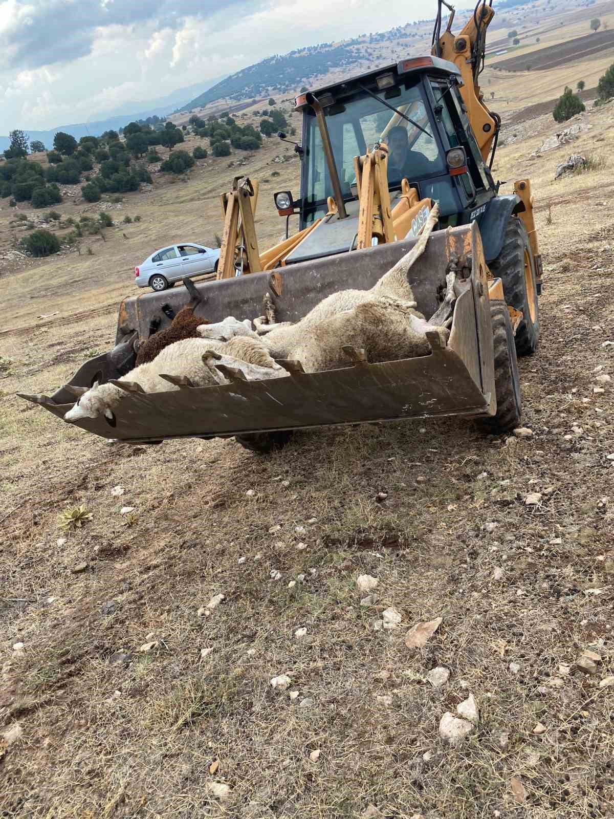 Yıldırım düşmesi sonucu 30 küçükbaş hayvan telef oldu
