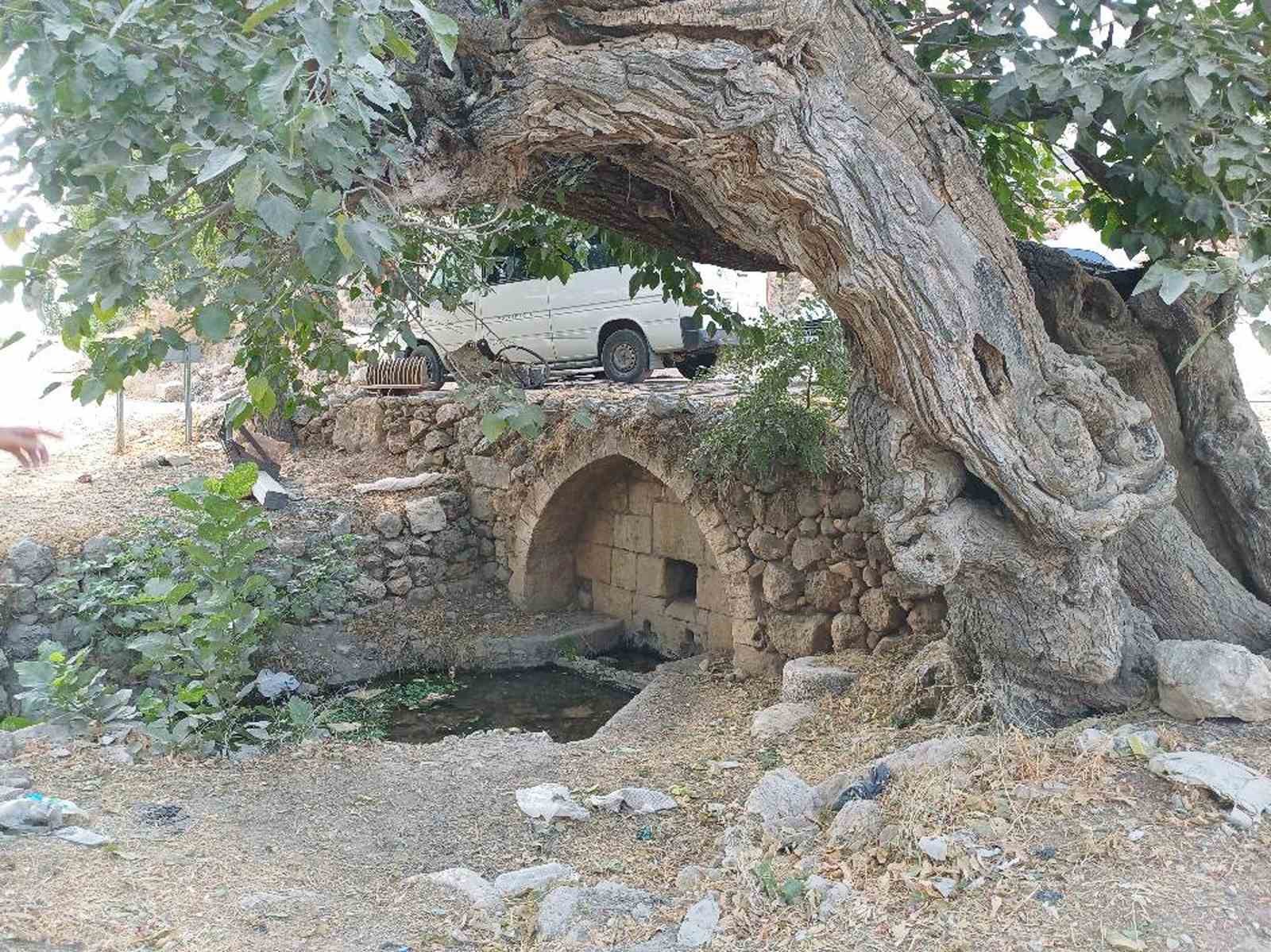 Araban’daki Roma dönemine ait tarihi çeşmeler kurtarılmayı bekliyor
