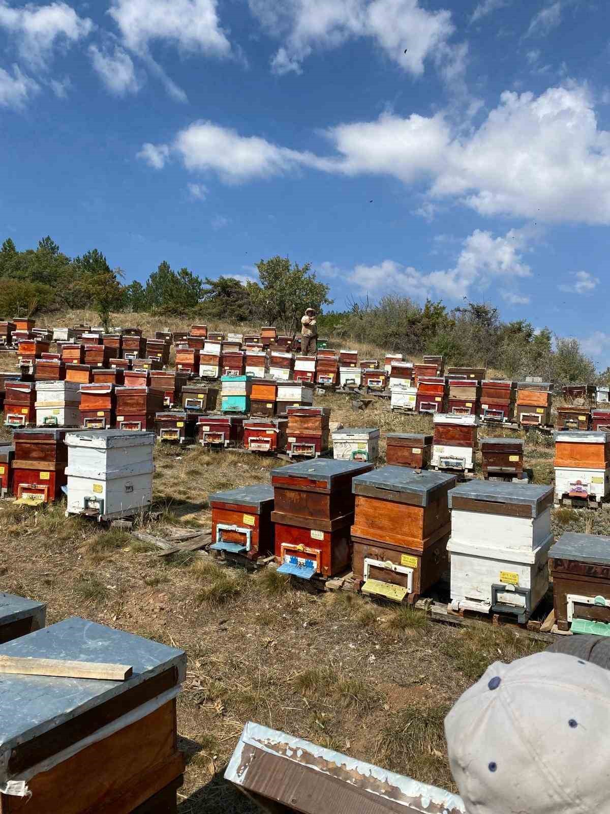 Beyşehir’de arılı kovan sayımları sürüyor
