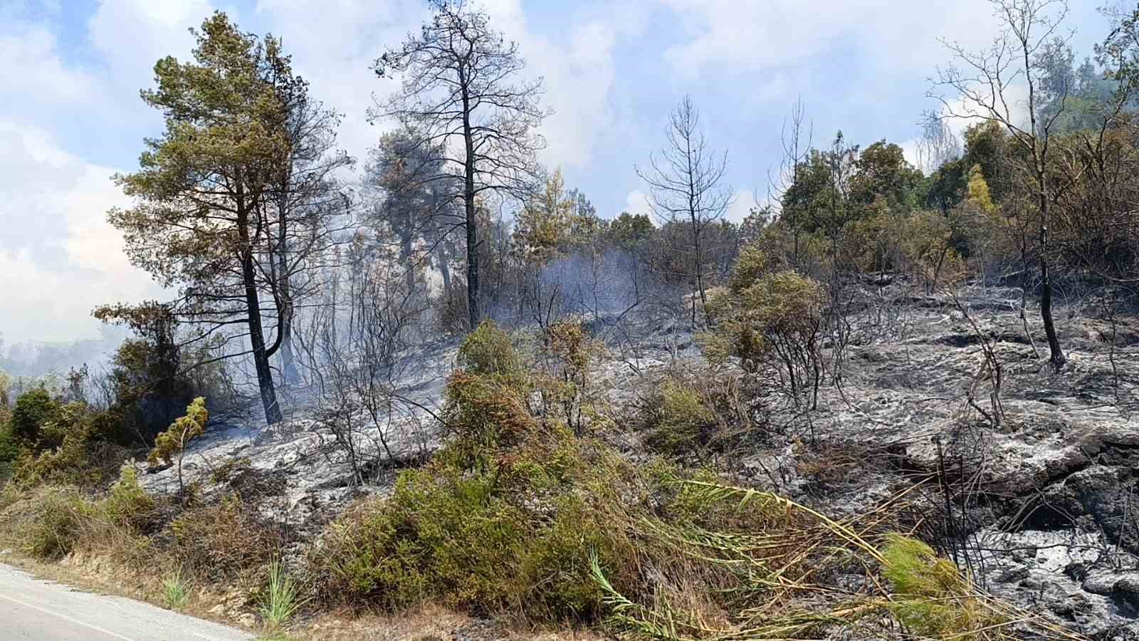 Antalya’da tarım arazisi yandı, 3 sera zarar gördü
