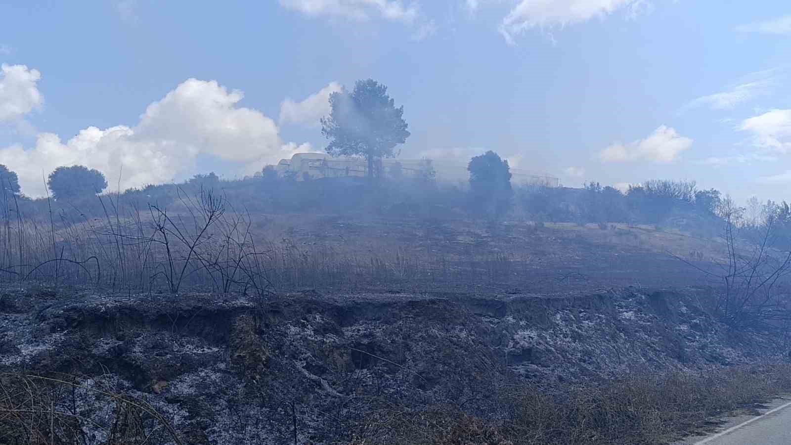 Antalya’da tarım arazisi yandı, 3 sera zarar gördü
