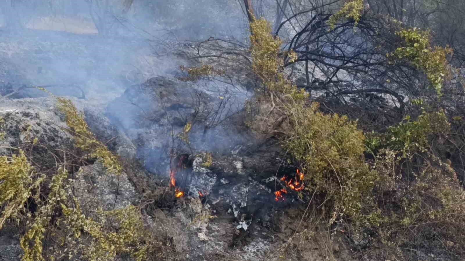 Antalya’da tarım arazisi yandı, 3 sera zarar gördü
