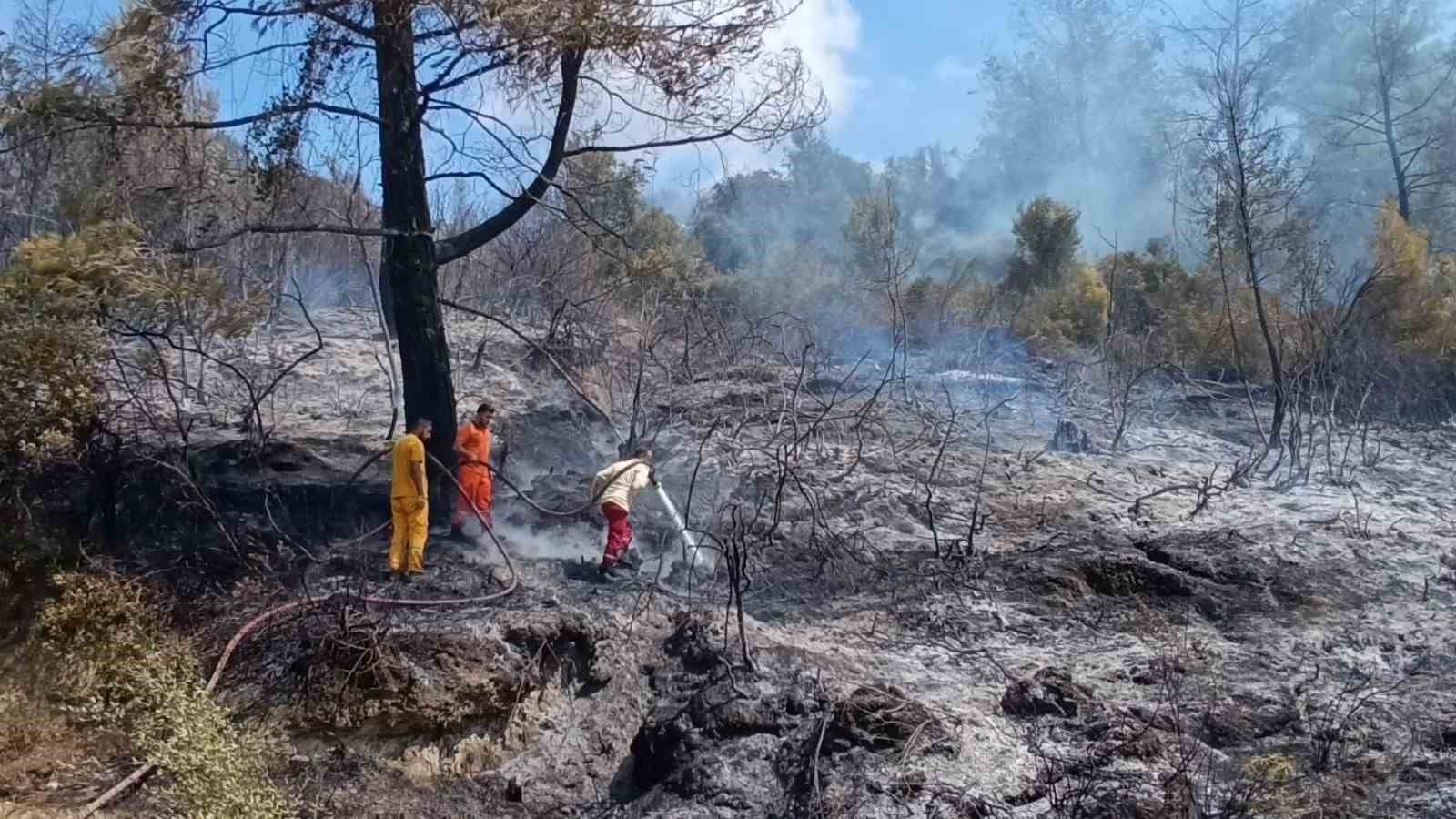 Antalya’da tarım arazisi yandı, 3 sera zarar gördü
