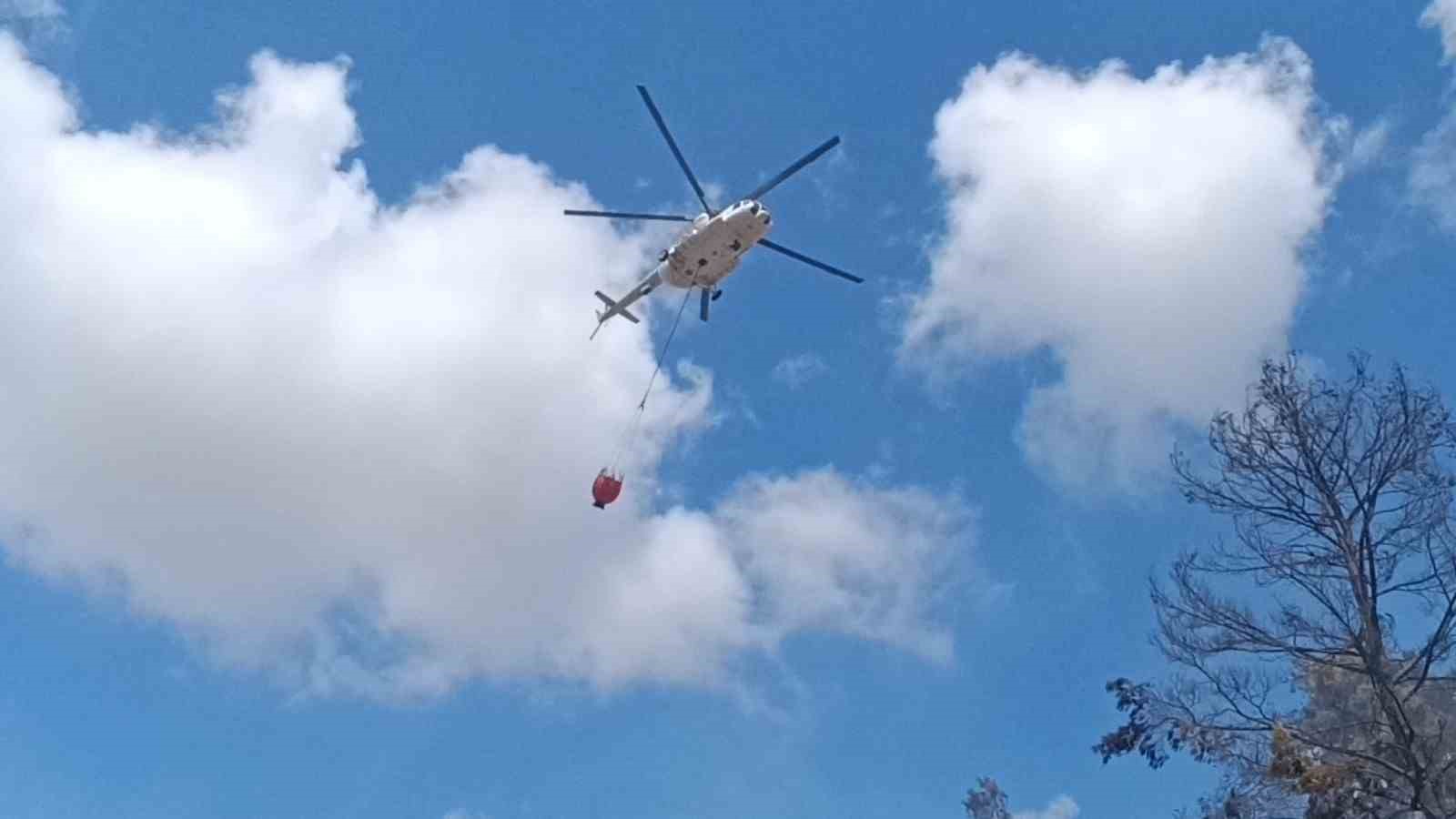 Antalya’da tarım arazisi yandı, 3 sera zarar gördü
