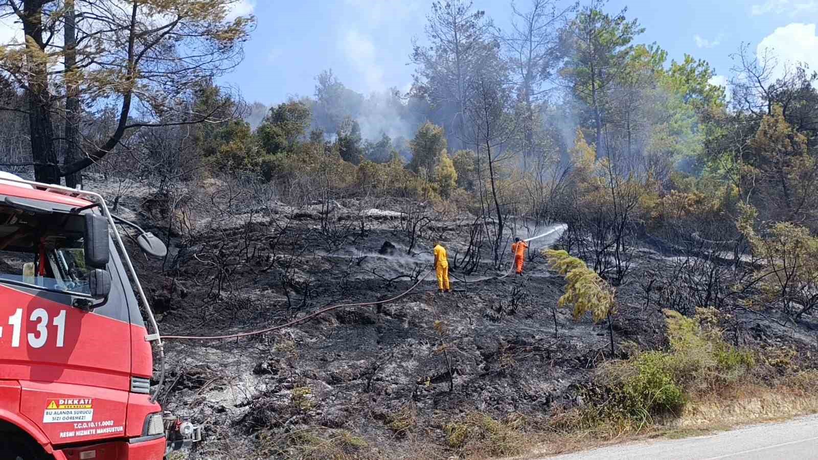 Antalya’da tarım arazisi yandı, 3 sera zarar gördü
