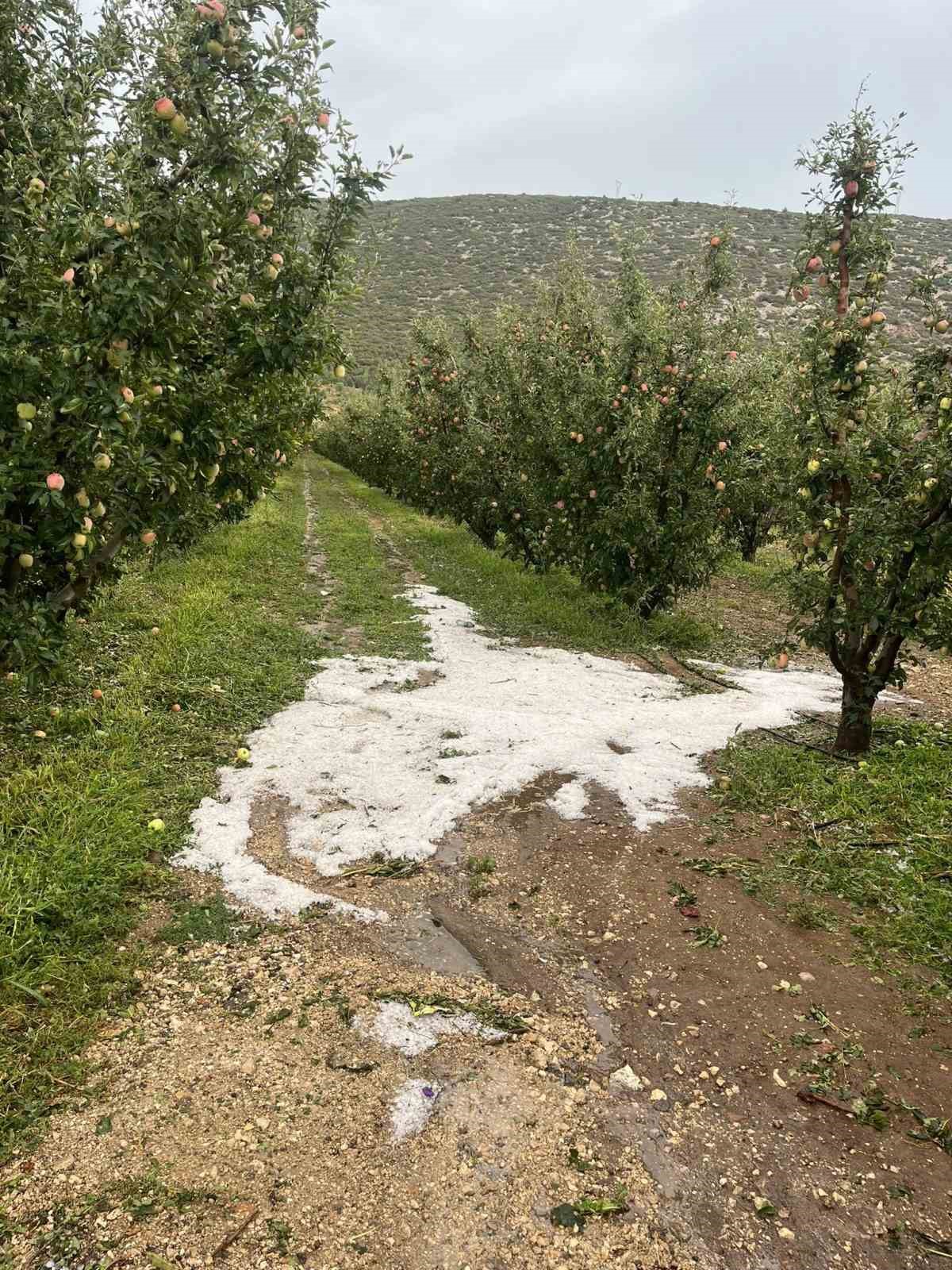 Eğirdir’de etkili olan dolu meyve bahçelerine zarar verdi
