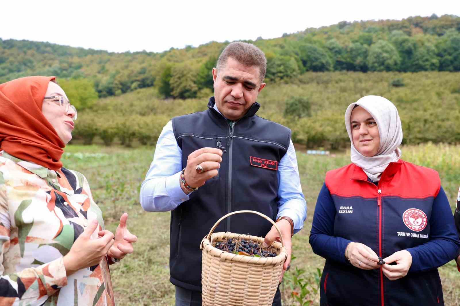 Vali Aslan Aronya hasadı yaptı
