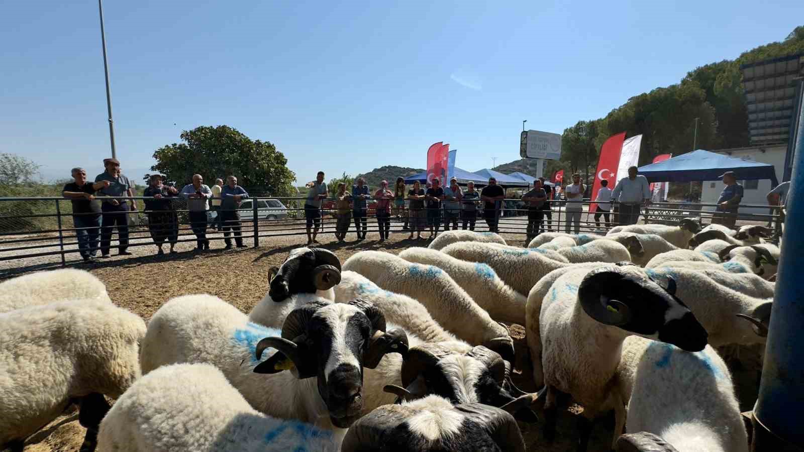 Başkan Çerçioğlu üreticilerin yanında olmaya devam ediyor
