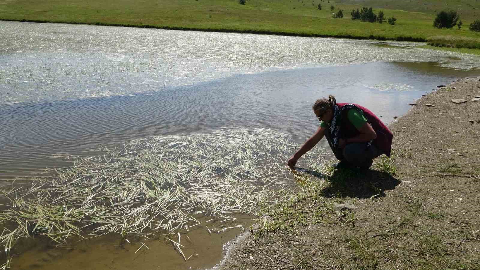 Batı Karadeniz’in zirvesindeki buzul göleti doğal güzelliğiyle hayran bırakıyor
