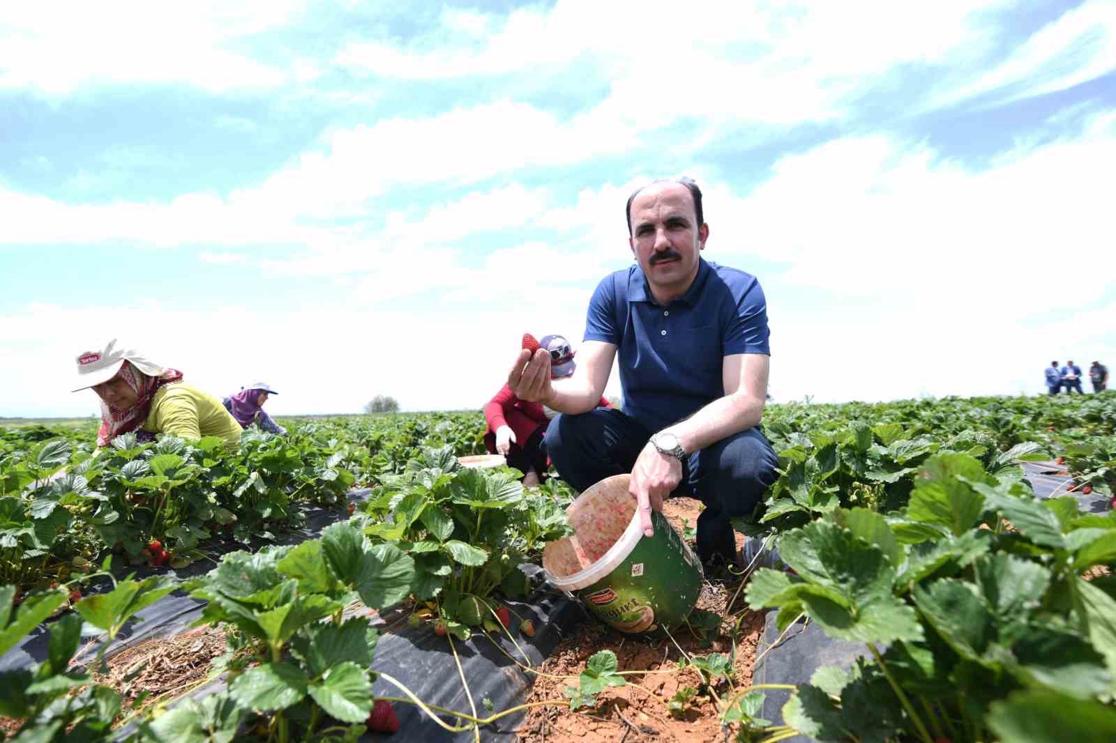 Başkan Altay: “Hüyük çileği AB tescili alan Konya’mızın ilk ürünü oldu, hayırlı olsun