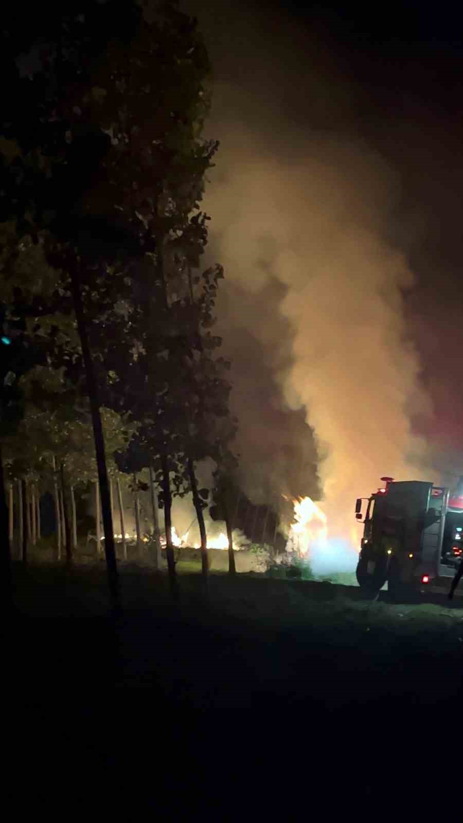 Sakarya’da ağaçlık alanda korkutan yangın
