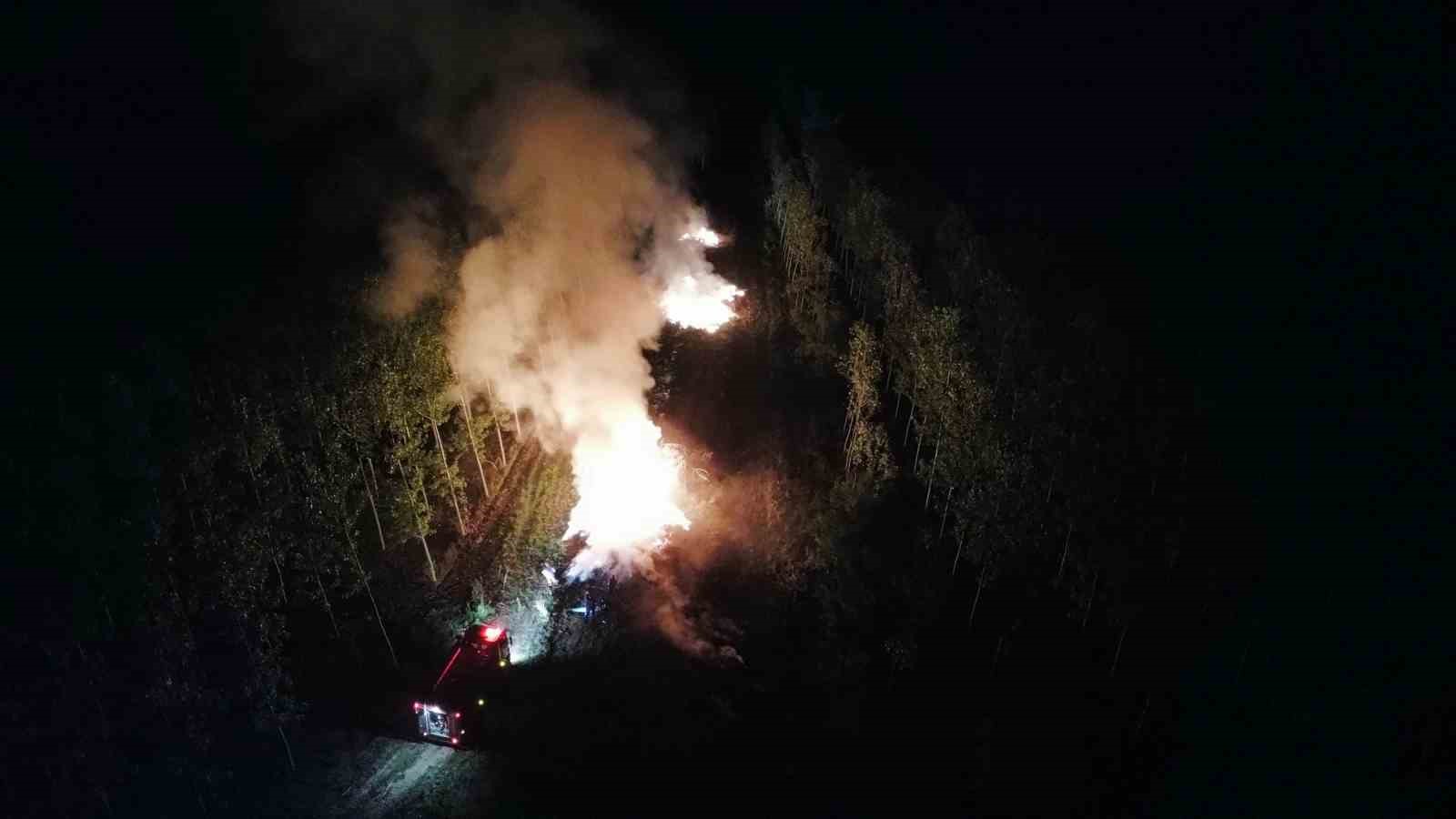 Sakarya’da ağaçlık alanda korkutan yangın
