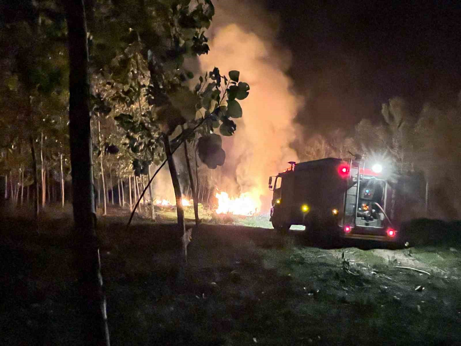 Sakarya’da ağaçlık alanda korkutan yangın
