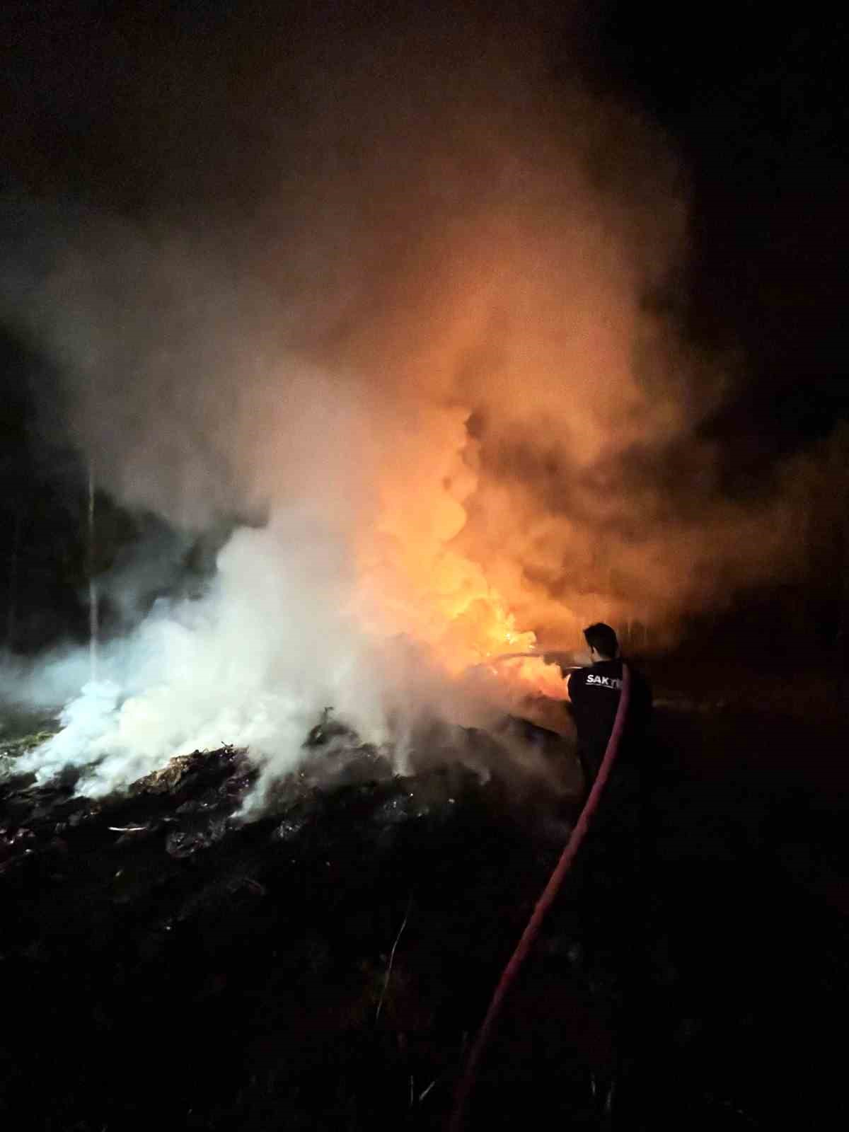 Sakarya’da ağaçlık alanda korkutan yangın
