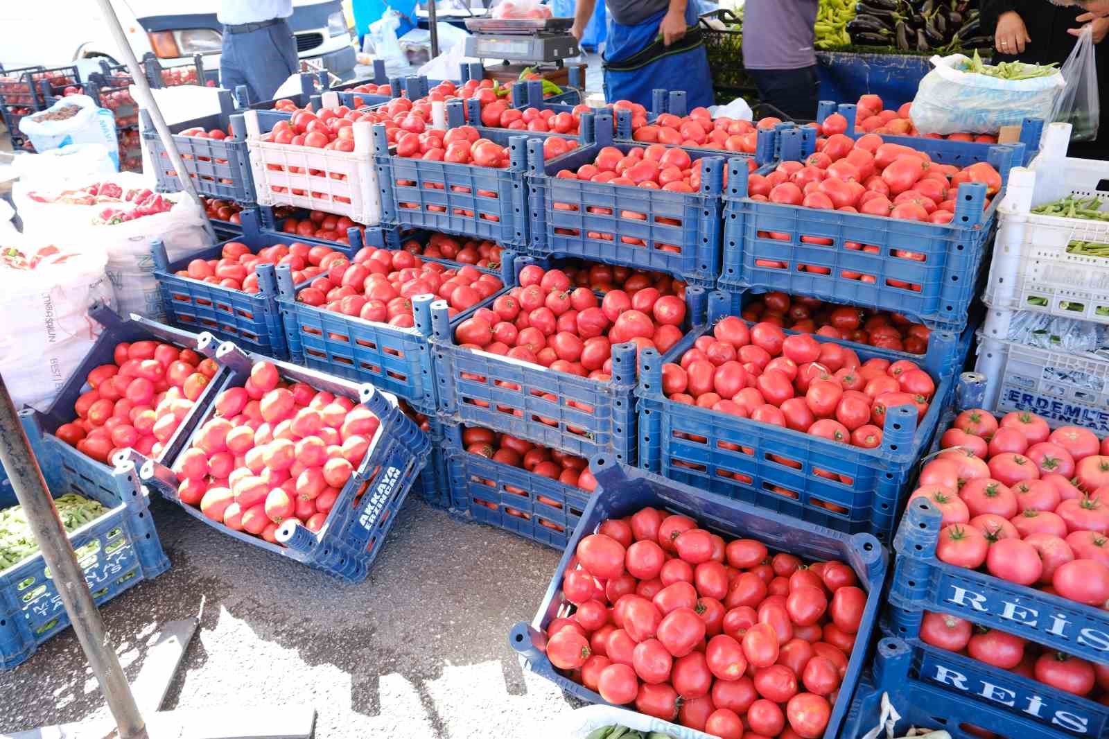 Erzincan’da salçalık domates ve biberler tezgahlarda
