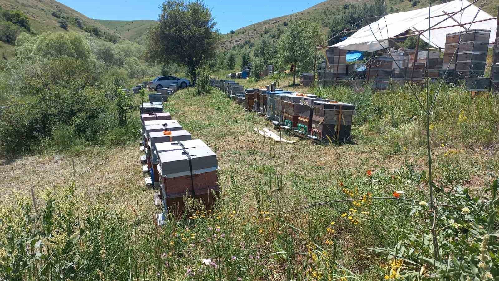 Bal üreticileri son on yılın en verimsiz sezonunu yaşadı
